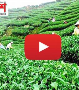 বাংলাদেশের দর্শনীয় ১০টি স্থান