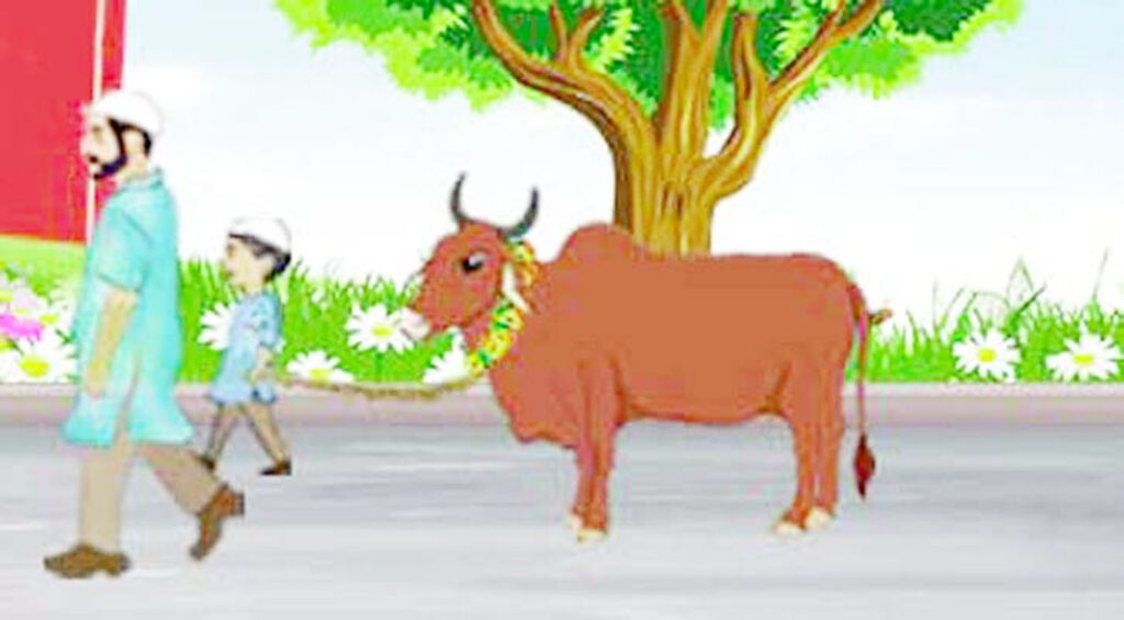 কুরবানি