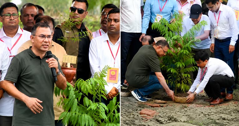 বরিশালের গৌরনদীতে জাতীয় বৃক্ষরোপণ কর্মসূচির উদ্বোধন, ৫ বছরে ২৫ কোটি গাছ লাগানোর ঘোষণা প্রধানমন্ত্রীর