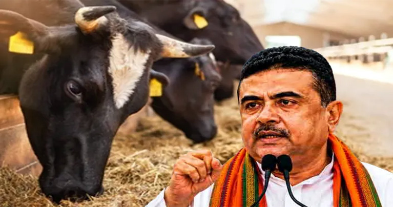 ঈদের আগে গবাদিপশু জবাইয়ে পশ্চিমবঙ্গে কড়াকড়ি, ক্ষোভ খামারিদের