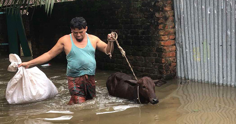 ভারী বৃষ্টি ও ভারত থেকে আসা ঢলে বাংলাদেশে বন্যা : জাতিসংঘ