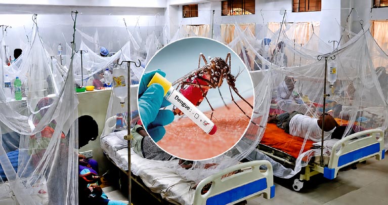 বাংলাদেশে ডেঙ্গুর ভয়াবহ পরিস্থিতির আশঙ্কা