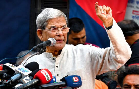 মির্জা ফখরুলই বিএনপির রাষ্ট্রপতি প্রার্থী