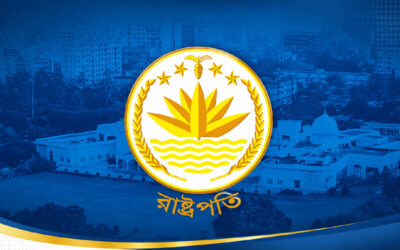 যেসব বিষয়ে প্রাধান্য দিয়ে রাষ্ট্রপতি বানাবে বিএনপি