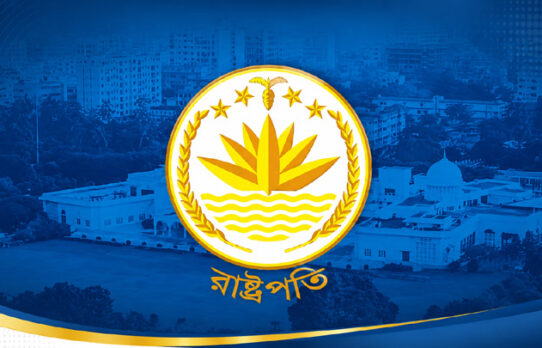 যেসব বিষয়ে প্রাধান্য দিয়ে রাষ্ট্রপতি বানাবে বিএনপি