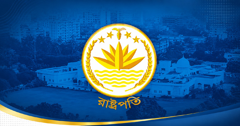যেসব বিষয়ে প্রাধান্য দিয়ে রাষ্ট্রপতি বানাবে বিএনপি