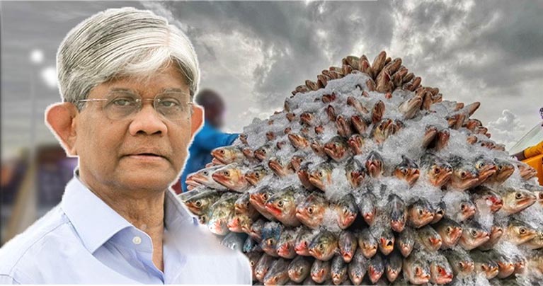বৃহত্তর স্বার্থে ভারতে ইলিশ রফতানির সিদ্ধান্ত, ইমোশনাল কথা বলে লাভ নেই : বাণিজ্য উপদেষ্টা